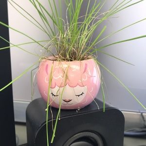 Meet your Posher, Flora